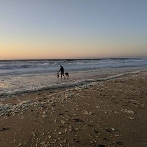 Meet your Posher, Collin